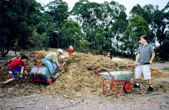 Children and adults shovelling a large mulch pile into red wheelbarrows at a community working bee