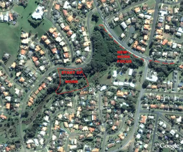 Aerial map of Rushcutter Reserve showing the outlined work area and new work focus in red