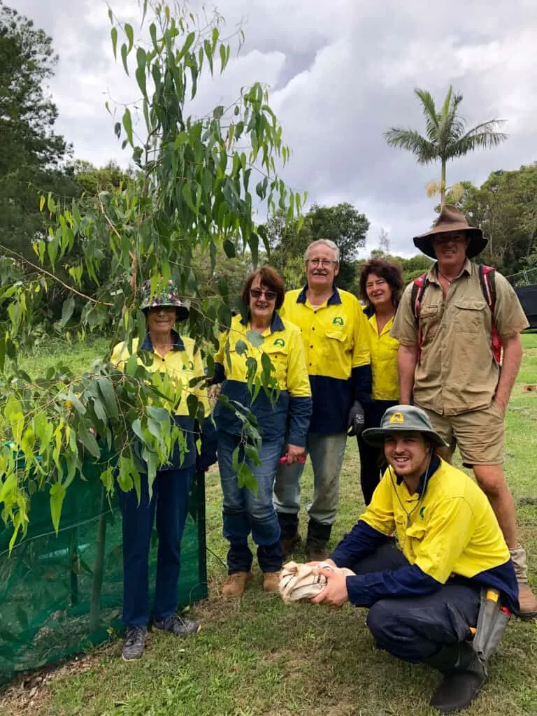 Group of Landcare volunteers in hi-vis shirts and hats posing beside a young eucalypt planting