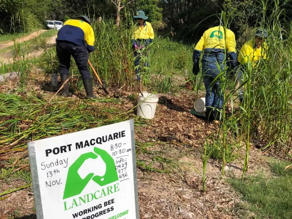 Working bee sign for Port Macquarie Landcare in front of volunteers weeding tall weeds on mulched ground