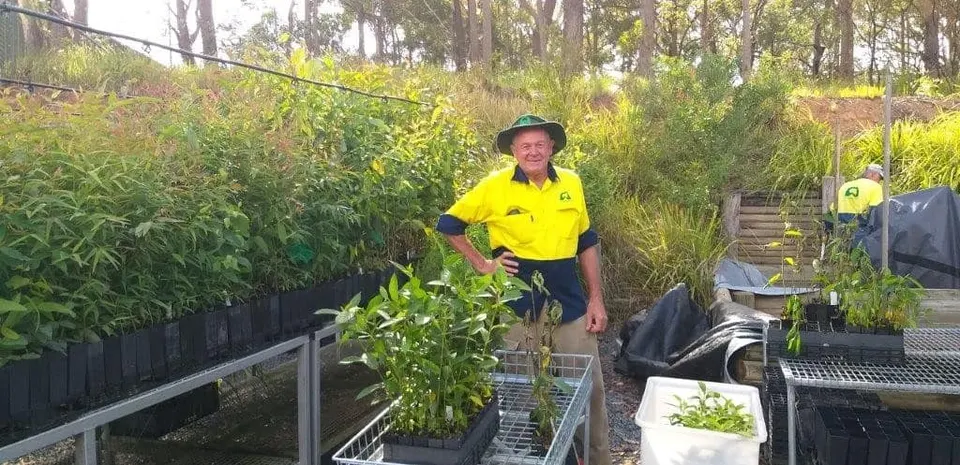 History of Port Macquarie Landcare Group
