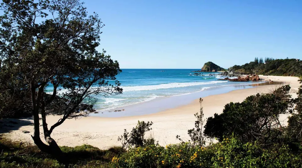Ecosystems of Port Macquarie-Hastings Council