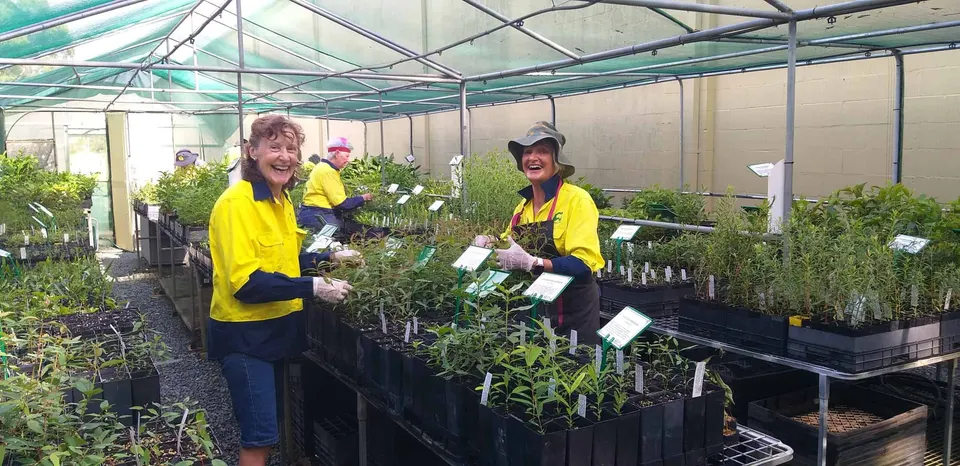 Landcare Nursery