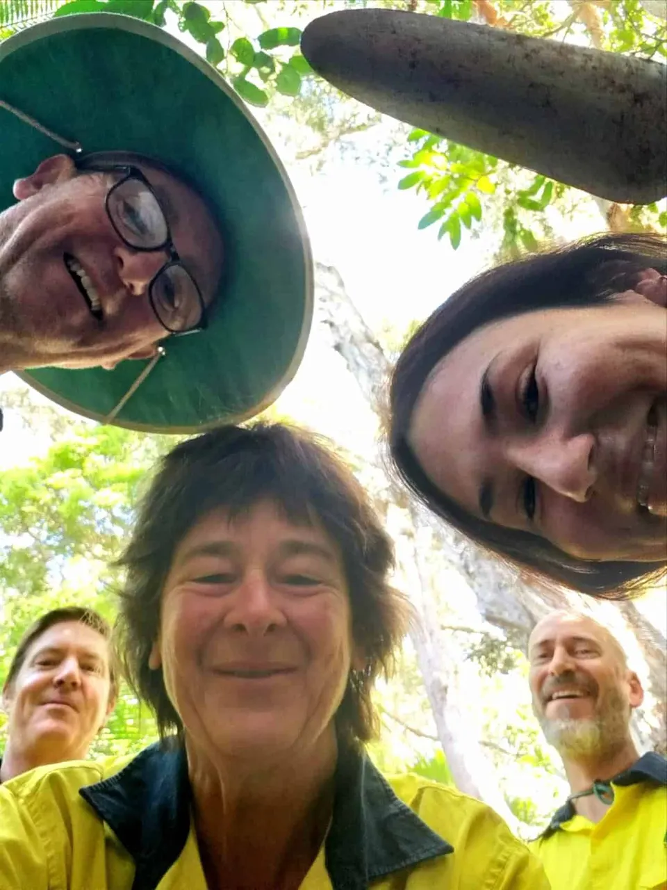 Wrights Creek Wildlife Corridor