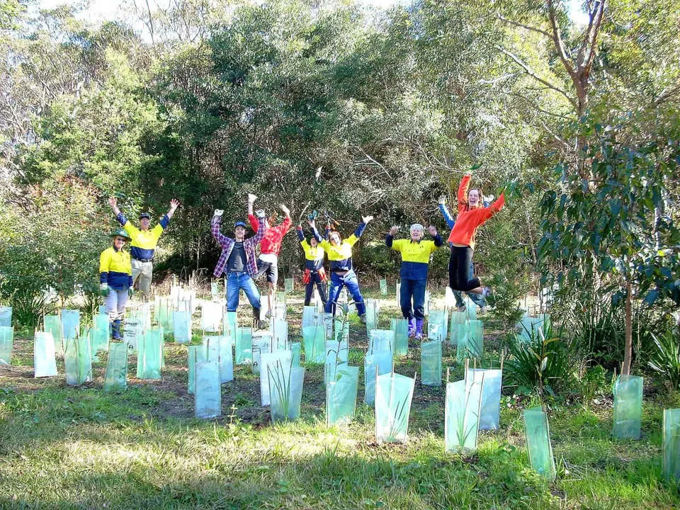 Rushcutter Reserve