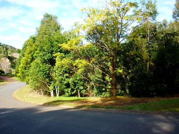 Timber Ridge