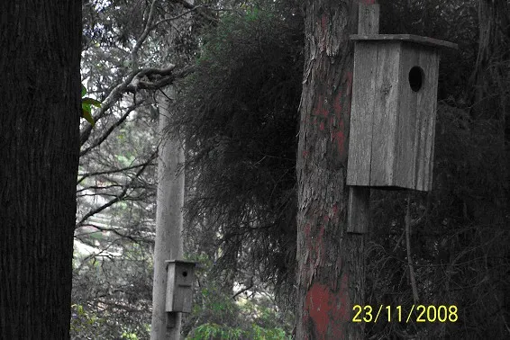 Merinda Reserve