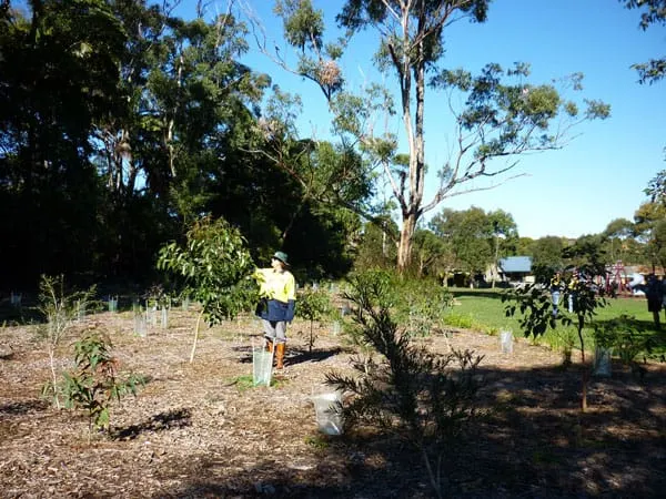 Absalom Reserve